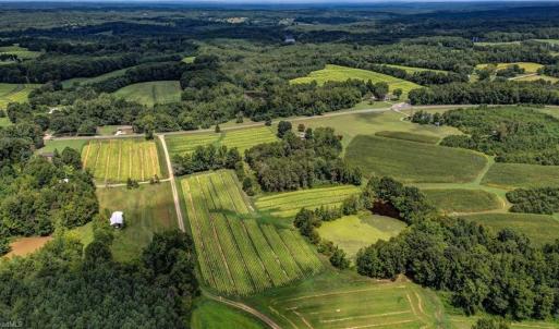 Photo #17 of Ol, Reidsville, NC 13.6 acres