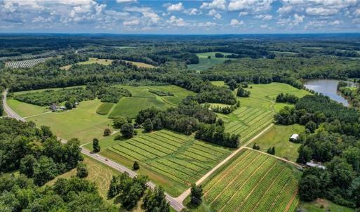 Photo #3 of Ol, Reidsville, NC 13.6 acres