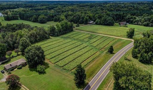 Photo #6 of Ol, Reidsville, NC 13.6 acres