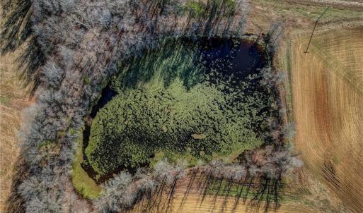 Photo #13 of Ol, Reidsville, NC 13.6 acres
