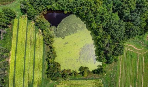 Photo #12 of Ol, Reidsville, NC 13.6 acres