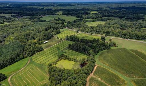 Photo #15 of Ol, Reidsville, NC 13.6 acres