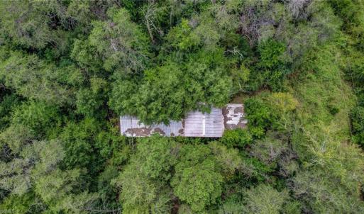 Photo #19 of Ol, Reidsville, NC 13.6 acres