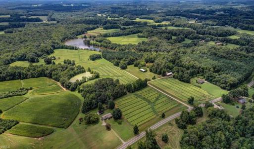 Photo #4 of Ol, Reidsville, NC 13.6 acres