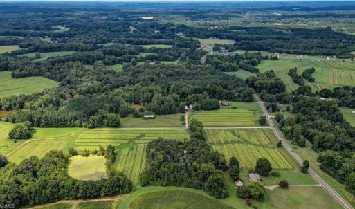 Photo #25 of Ol, Reidsville, NC 13.6 acres