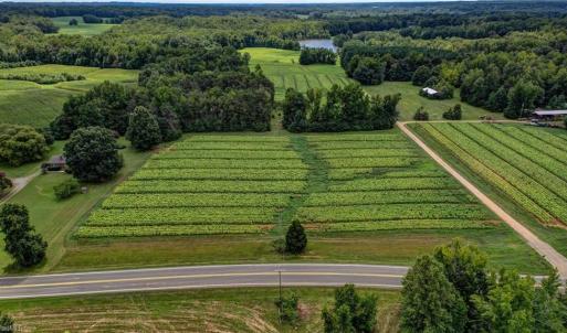 Photo #5 of Ol, Reidsville, NC 13.6 acres
