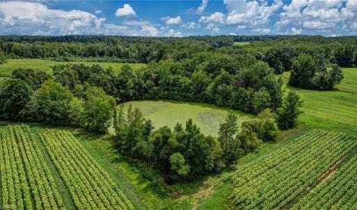 Photo #10 of Ol, Reidsville, NC 13.6 acres