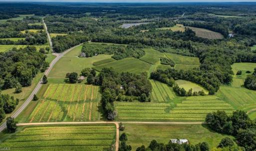 Photo #26 of Ol, Reidsville, NC 13.6 acres