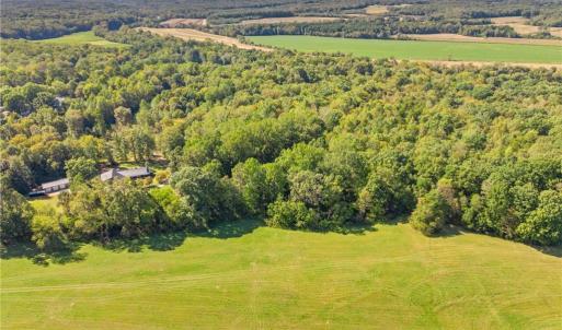 Photo #6 of 8126 Hilltop Farms, Lewisville, NC 5.7 acres