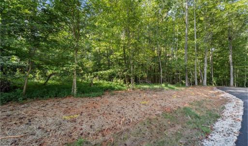 Photo #7 of 8126 Hilltop Farms, Lewisville, NC 5.7 acres