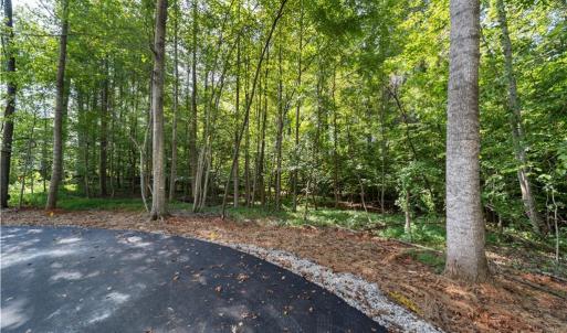 Photo #5 of 8126 Hilltop Farms, Lewisville, NC 5.7 acres