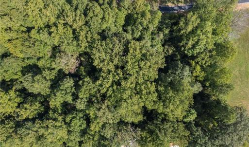 Photo #4 of 8126 Hilltop Farms, Lewisville, NC 5.7 acres