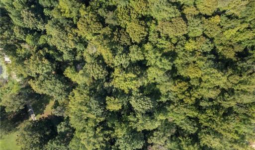 Photo #8 of 8126 Hilltop Farms, Lewisville, NC 5.7 acres