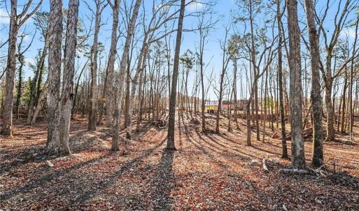 Photo #6 of 1002 Tyler, Winston-Salem, NC 3.6 acres