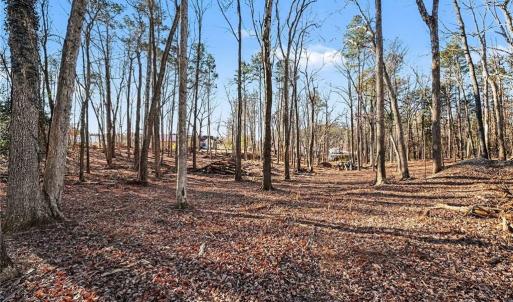 Photo #4 of 1002 Tyler, Winston-Salem, NC 3.6 acres