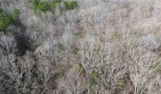 Photo #7 of Old Union Church, Salisbury, NC 22.0 acres