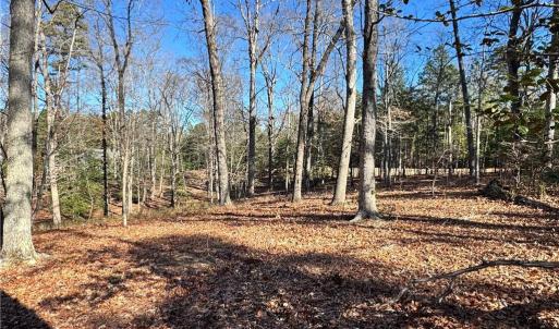 Photo #3 of 188 Starboard Reach, Lexington, NC 1.5 acres