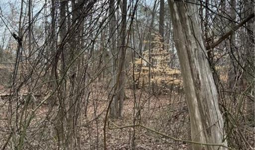 Photo #3 of 205 Burton Farm, Browns Summit, NC 1.7 acres