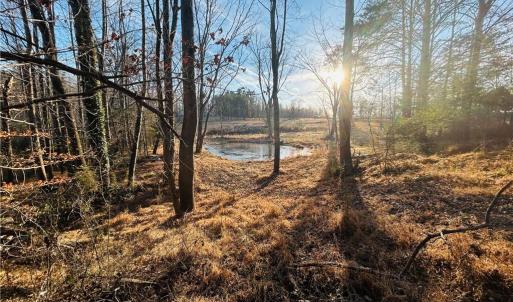 Photo #17 of TBD Asbury, Mount Airy, NC 5.9 acres