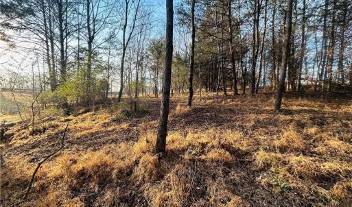 Photo #16 of TBD Asbury, Mount Airy, NC 5.9 acres