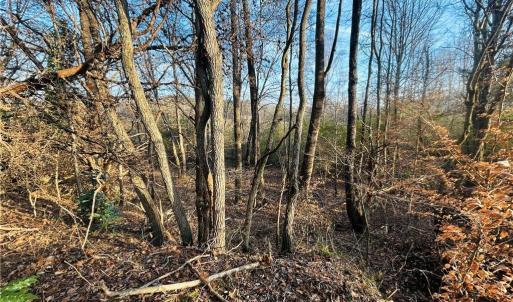 Photo #15 of TBD Asbury, Mount Airy, NC 5.9 acres