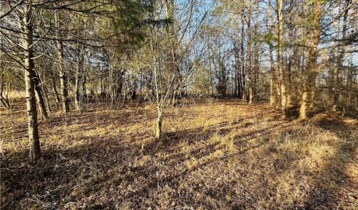 Photo #8 of TBD Asbury, Mount Airy, NC 5.9 acres