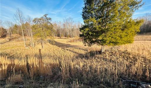 Photo #6 of TBD Asbury, Mount Airy, NC 5.9 acres