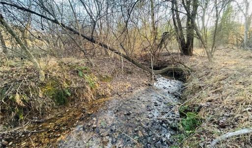 Photo #13 of TBD Asbury, Mount Airy, NC 5.9 acres