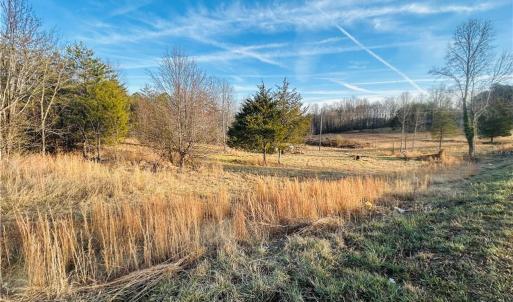 Photo #7 of TBD Asbury, Mount Airy, NC 5.9 acres