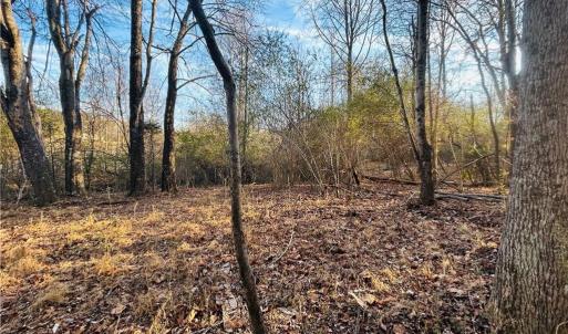Photo #14 of TBD Asbury, Mount Airy, NC 5.9 acres
