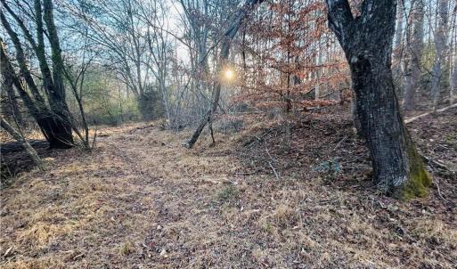 Photo #11 of TBD Asbury, Mount Airy, NC 5.9 acres