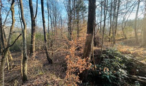 Photo #16 of TBD Asbury, Mount Airy, NC 5.9 acres