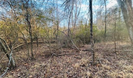 Photo #5 of TBD Asbury, Mount Airy, NC 5.9 acres