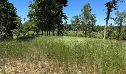 Photo #3 of US Highway 601, Mocksville, NC 11.8 acres