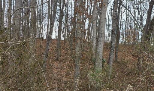 Photo #5 of NC Highway 89, Westfield, NC 14.5 acres