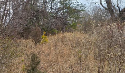 Photo #7 of NC Highway 89, Westfield, NC 15.7 acres