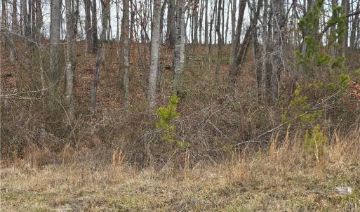 Photo #9 of NC Highway 89, Westfield, NC 15.7 acres