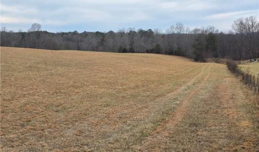 Photo #4 of NC Highway 89, Westfield, NC 15.7 acres