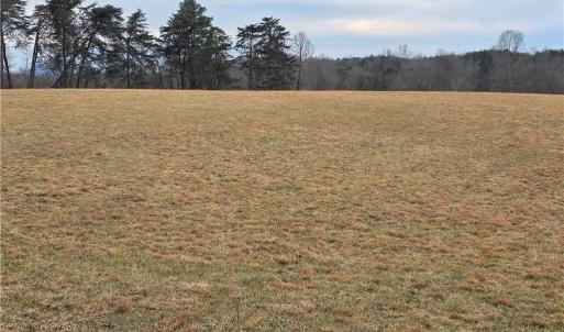 Photo #6 of NC Highway 89, Westfield, NC 15.7 acres