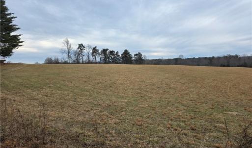 Photo #5 of NC Highway 89, Westfield, NC 15.7 acres