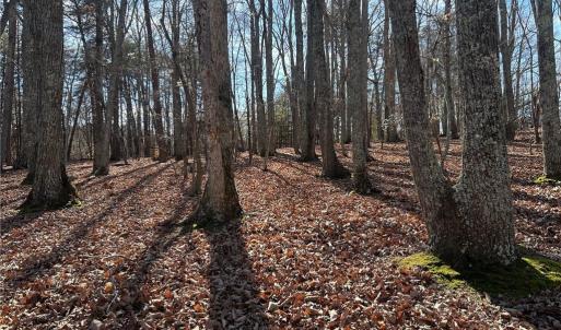 Photo #6 of Price, Eden, NC 1.7 acres