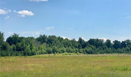 Photo #3 of 2008 Neelley, Pleasant Garden, NC 45.5 acres