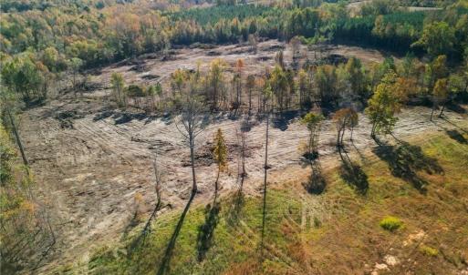 Photo #14 of 2008 Neelley, Pleasant Garden, NC 45.5 acres