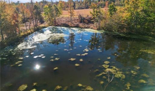 Photo #15 of 2008 Neelley, Pleasant Garden, NC 45.5 acres