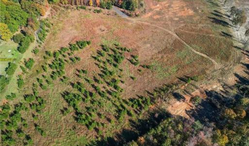 Photo #7 of 2008 Neelley, Pleasant Garden, NC 45.5 acres