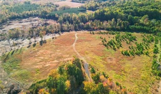 Photo #5 of 2008 Neelley, Pleasant Garden, NC 45.5 acres