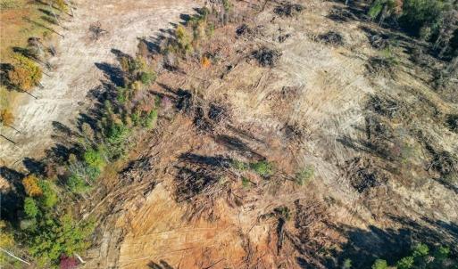 Photo #8 of 2008 Neelley, Pleasant Garden, NC 45.5 acres