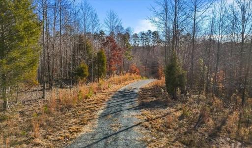 Photo #20 of 3567 Tot Hill Farm, Asheboro, NC 94.7 acres