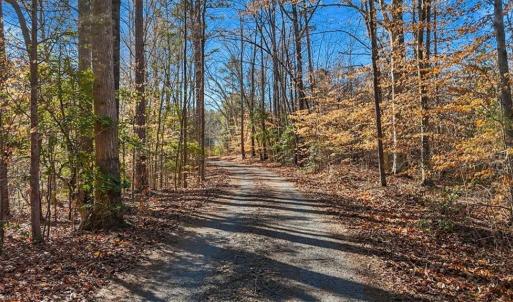 Photo #6 of 3567 Tot Hill Farm, Asheboro, NC 94.7 acres