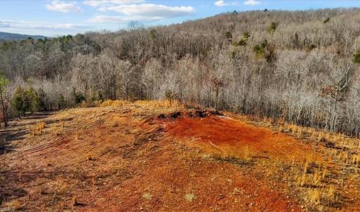 Photo #6 of Tot Hill Farm, Asheboro, NC 16.0 acres